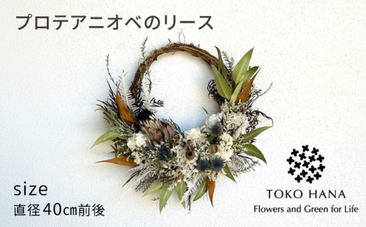 プロテアニオベのリース 糸島市 / tokohana ドライフラワー アレンジ [AOC033] ドライフラワー リース インテリア 壁掛け 壁面 花 アレンジ 植物 グリーン