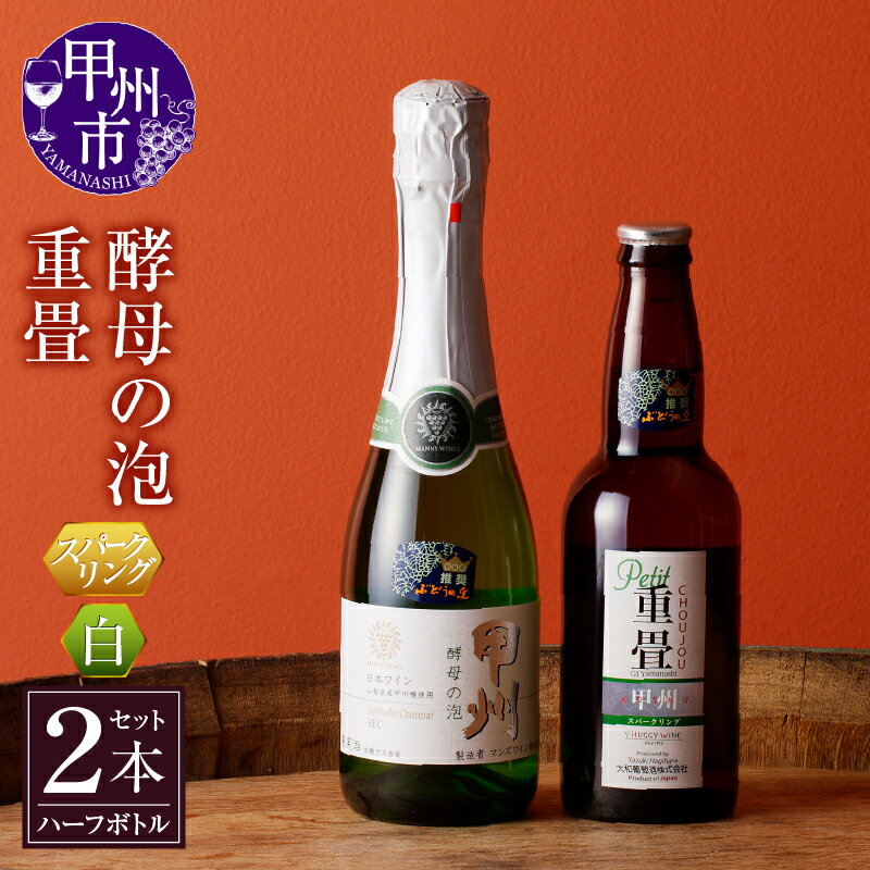 【ふるさと納税】 ワイン スパークリングワイン 甲州市 勝沼ぶどうの丘推奨 ハーフボトル 2本セット 勝沼 大和葡萄酒 アルコール 日本ワイン 白 母の日 父の日 記念日 ギフト 山梨県 甲州市 【B-689】