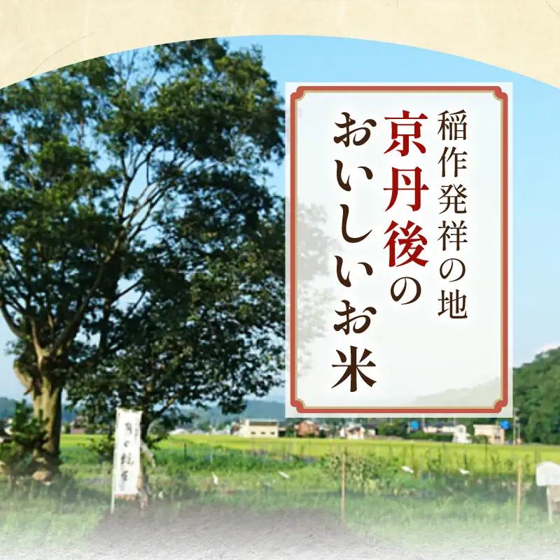 【6ヶ月定期便】2026年産 京都・京丹後峰山 特別栽培米しきゆたか 5kg 【玄米】米 定期便 玄米 しきゆたか