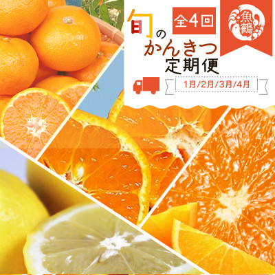 【発送月固定定期便】紀州和歌山産旬のフルーツセット(みかん・不知火・レモン・清見)全4回