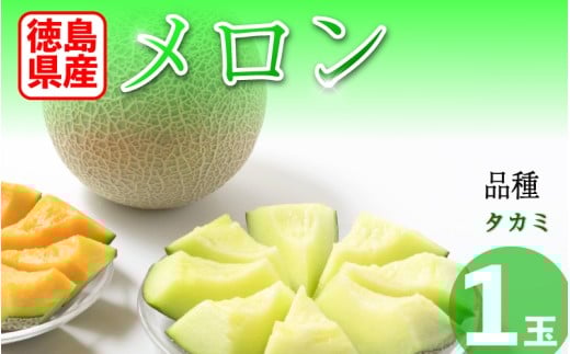 メロン 緑肉 徳島県産 高地栽培 タカミ 1玉 緑肉メロン フルーツ 果物 旬 季節 厳選 高級 人気 デザート ギフト プレゼント 贈り物 贈答 送料無料 徳島県 三好市 みよし miyoshi 三好野呂内野菜生産加工組合