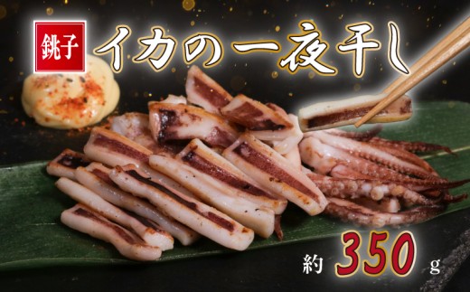 イカの一夜干し 2~4枚 (約350g) イカ 烏賊 一夜干し いか一夜干し スルメイカ ヤリイカ スルメ ヤリ 酒 酒に合う 日本酒 に合う 酒の肴 おつまみ 揚げ物 天ぷら ビール お酒 干物 肴 フライ 炒め 焼き ソテー 炙り いかめし 夕食 おかず 晩酌 肉 厚 イカ干物 イカの干物 おすすめ お取り寄せ ふるさと納税イカ ふるさと納税烏賊 冷凍 送料無料 千葉県 銚子市 ヤマワカ水産