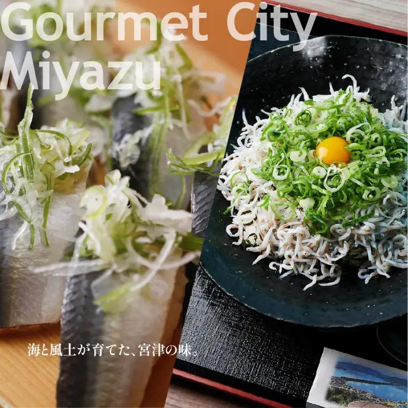 【京都ツアー】 宮津市 後から選べる旅行Webカタログで使える！旅行クーポン（150,000円分）碧海・松風・神話の地、天と地が繋がる旅へ。旅行券 宿泊券 飲食券 体験サービス券 myz00 myz1