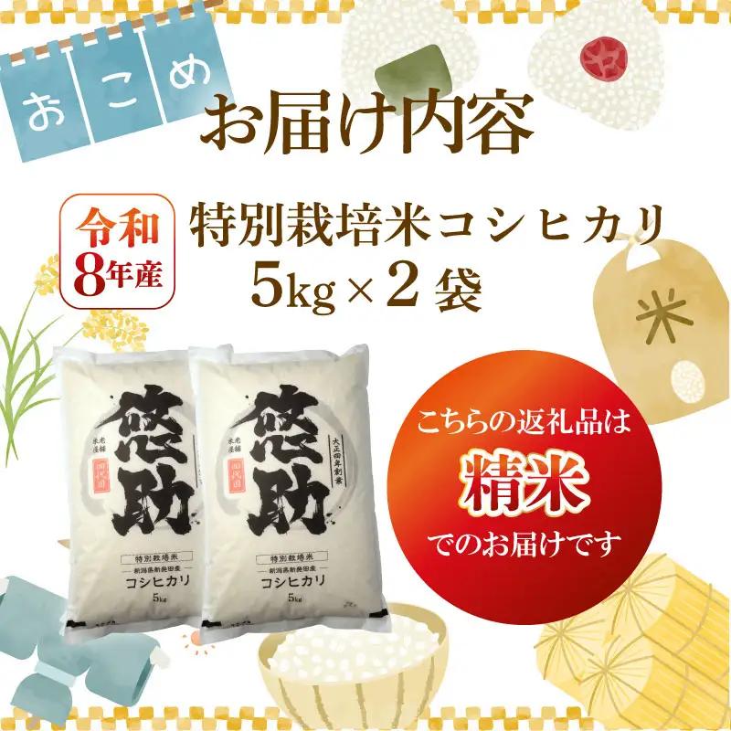 最短3日発送 新米 コシヒカリ 10kg 新潟県産 特別栽培米 単品 コンテスト 入賞 新潟 ふるさと納税 米 お米 特別栽培 白米 米 お米 こめ コメ ライス ご飯 ごはん 美味しい 贈り物 国産