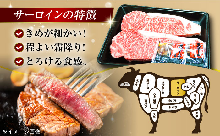 やみつき 五島牛 サーロインステーキ 750g（250g×3枚） A4 A5 国産  BBQ 牛肉 牛 肉 五島市/肉のマルヒサ [PCV054]