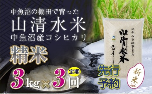 
                  【令和8年産 先行予約】【定期便／全3回】精米3kg 新潟県魚沼産コシヒカリ「山清水米」 お米
                