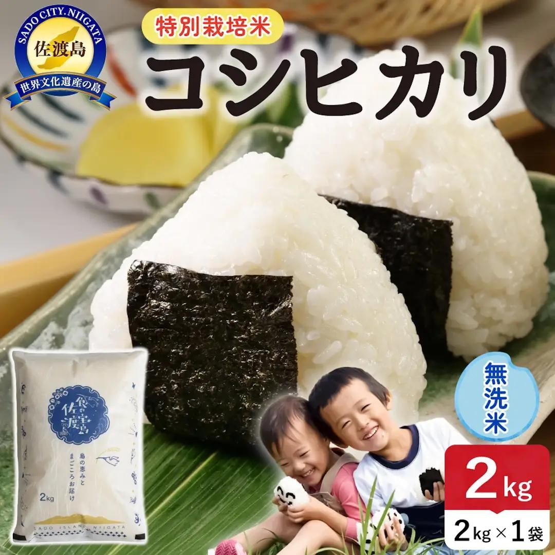 令和8年産 佐渡島産コシヒカリ 無洗米2kg 特別栽培米