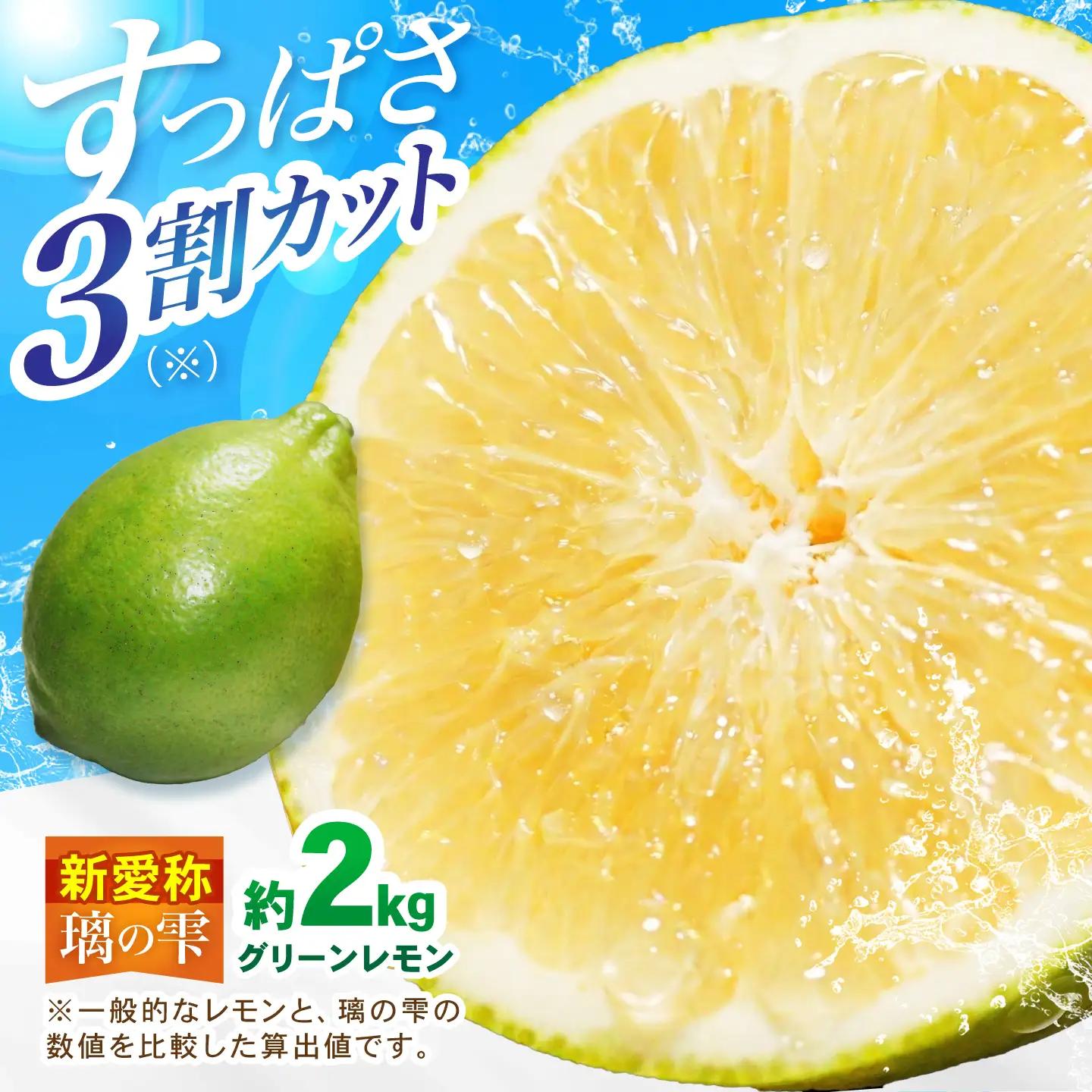 【先行予約 2026年10月～発送】璃の雫 レモン 約2kg （6個～8個程度）【道の駅しろいしカンパニー】[IAA043]