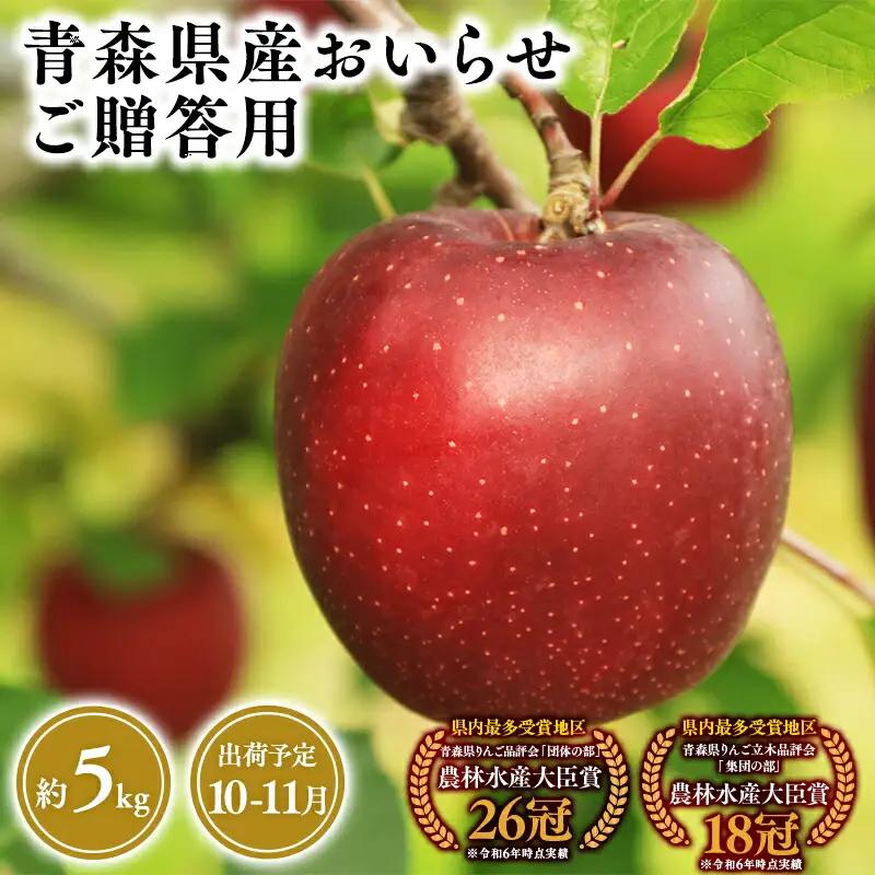 りんご 贈答用 おいらせ5kg りんご