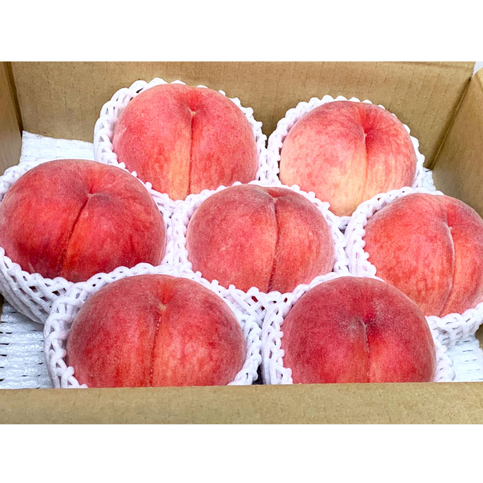 【定期便4回】やまがた 郷土フルーツ定期便 佐藤錦・やわ