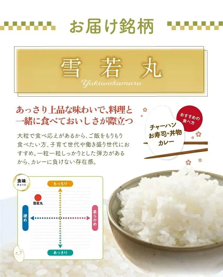 SB0964　10月中旬配送／令和8年産【無洗米】雪若丸　10kg(5kg×2袋) 農家直送 HO
