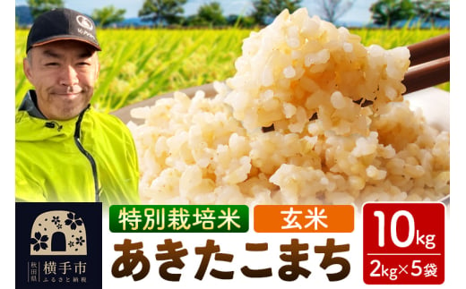 秋田県 横手市 【玄米】令和6年産 秋田県産 特別栽培米 あきたこまち 10kg（2kg×5袋）