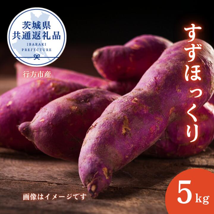 【ふるさと納税】さつまいも「すずほっくり」約5kg（2025年産）（茨城県共通返礼品・行方市産） ／ さつまいも さつま芋 サツマイモ 薩摩芋 甘薯 すずほっくり 5kg 野菜 茨城県 送料無料