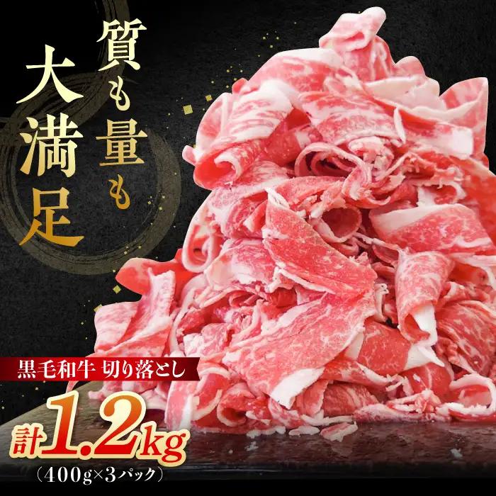 牛肉切り落とし 黒毛和牛 計1.2kg 牛肉切り落とし IAX003