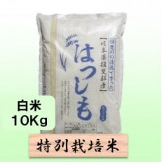 【令和6年産】特別栽培米 10kg【白米】(ハツシモ)