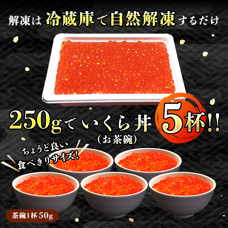 いくら醤油漬け 1.25kg（250g ×5箱） 小分け　| 国産 北海道産 いくら いくら醤油漬 イクラ ikura 天然 鮭  鮭卵 鮭いくら 北海道_イメージ2