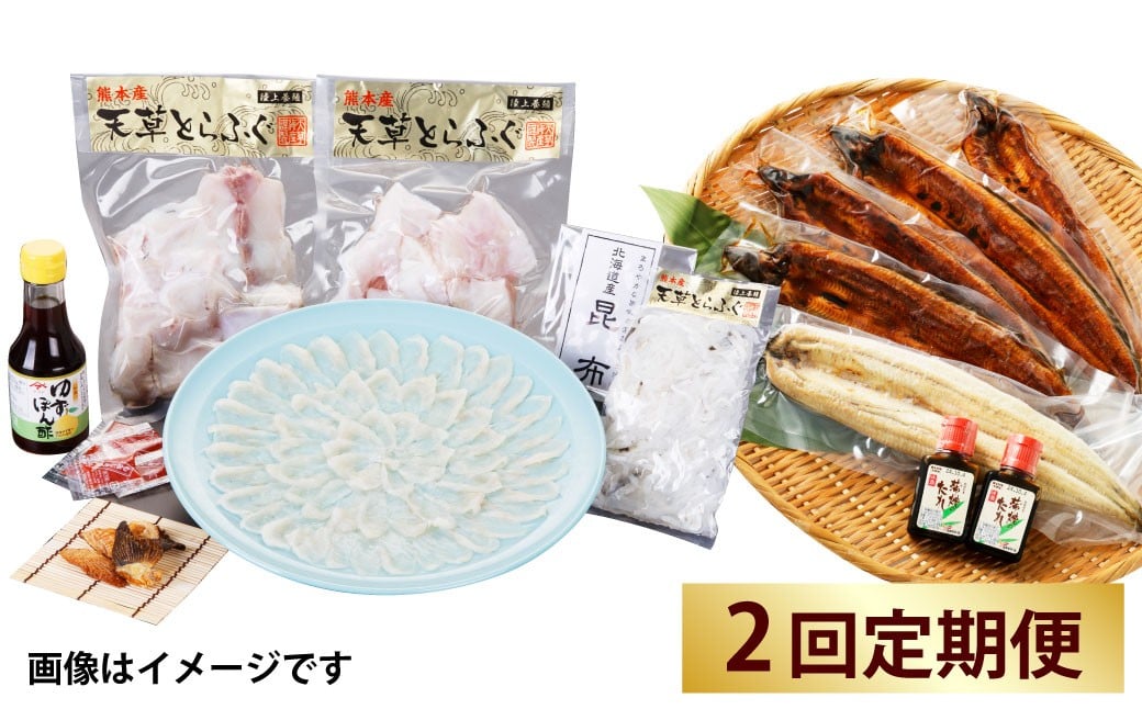 
            【2回定期便】【極】季節めぐり定期便4 ふぐ フグ 河豚 とらふぐ トラフグ てっさ てっちり うなぎ ウナギ 鰻 熊本県 上天草市
          