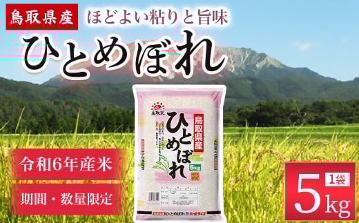 【数量限定】【令和6年産米】鳥取県産ひとめぼれ（5kg） パールライス 令和6年産米 精米 お米 米 こめ コメ 白米 ブランド 米5キロ ひとめぼれ