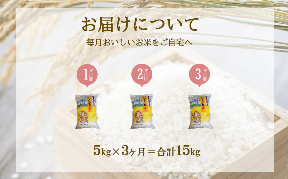 【3ヶ月定期便】えびの産 ひのひかり 5kg×3ヶ月 合計15kg