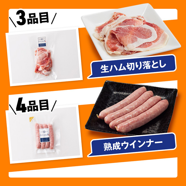 【令和7年7月発送】【かんたん調理で満喫コース】（加工品）さんきょうみらい豚満喫セット【豚肉 ポーク ぶた 国産 宮崎県産 さんきょうみらい豚 大人気】