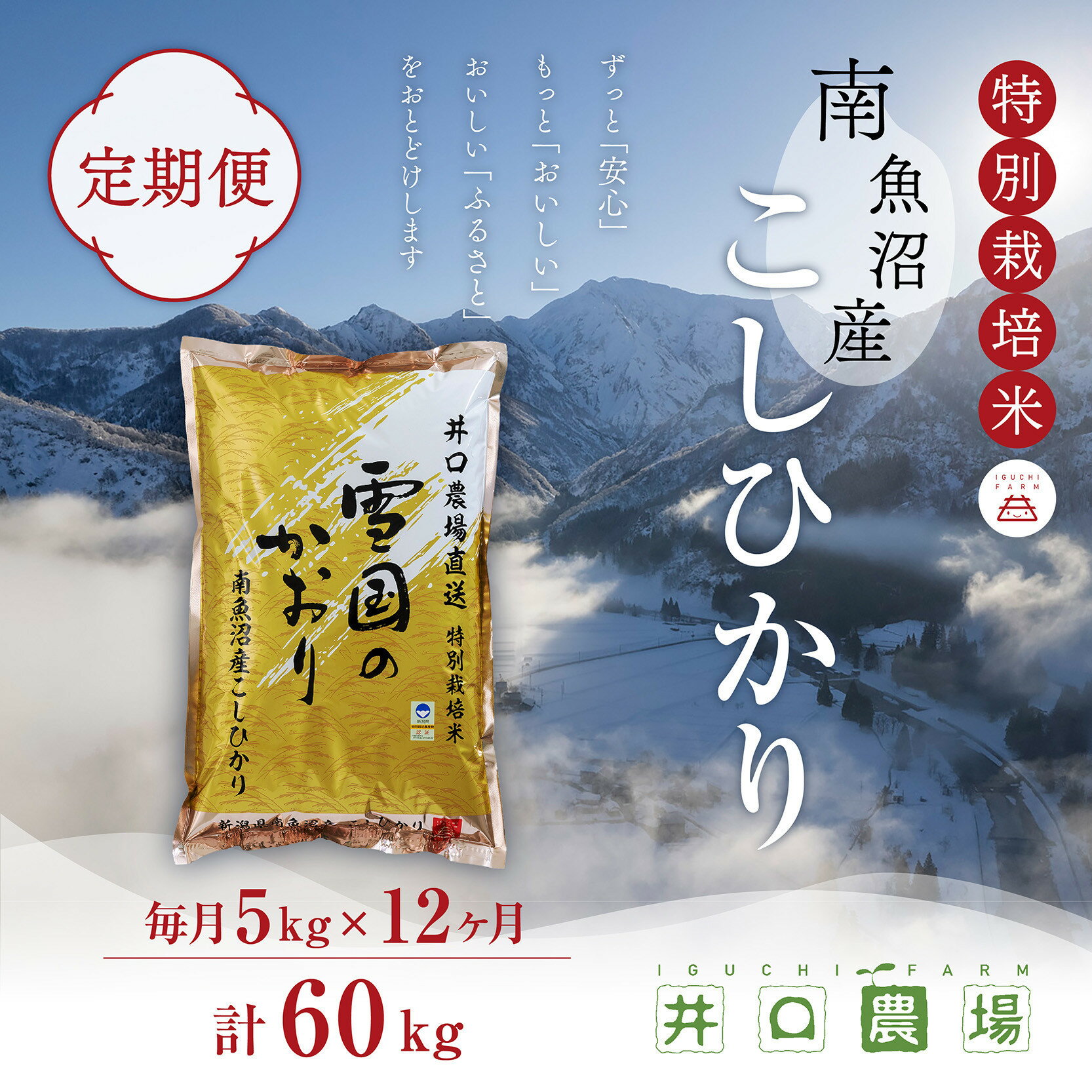 【ふるさと納税】【令和7年産】【定期便】5kg×12ヶ月　南魚沼産コシヒカリ 井口農場 こだわりの 特別栽培米【定期便 銘柄米 ブランド米 精米 こしひかり コシヒカリ 魚沼産 新潟米 新潟県産 産地直送 ご飯 御飯 ごはん お米 米 こめ コメ】