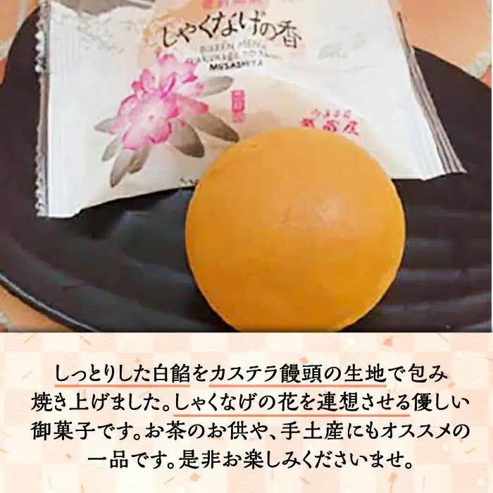 【進物箱】しゃくなげの香 10個入り[VBU004] ギフト 贈り物 和菓子