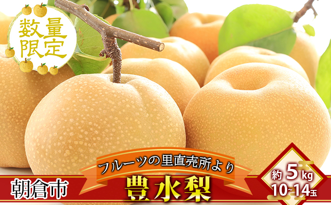 フルーツの里の直売所より 豊水梨 5kg ナシ 果物 先行予約 