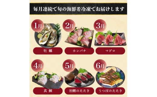 【須崎 の 鮮魚 定期便 】旬 の 刺身 定期便 12回 コース 野島水産 が お届け！ | 下処理済み かつお かつおのたたき 藁焼き タタキ 鯛 真鯛 マグロ 牡蠣 しらす 伊勢海老 セット 高知