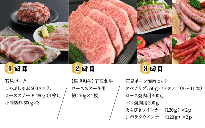 「定期便 全6回」邑南自慢 石見和牛肉・石見ポーク 堪能定期便 総重量8kg