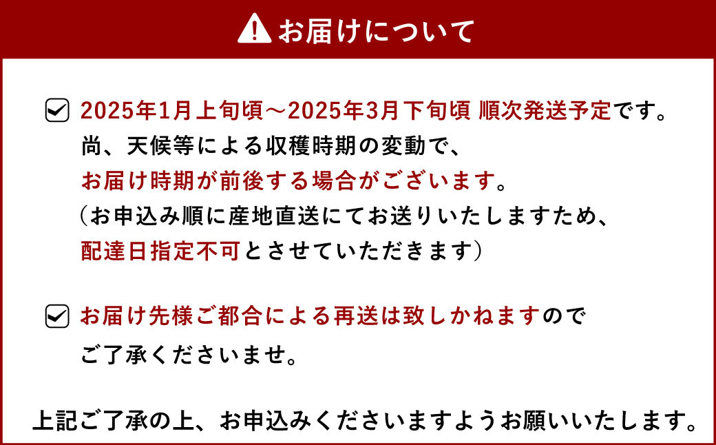 季節限定 新鮮朝摘みいちご「さがほのか」約1.5kg （250g×6パック）だいこく農園