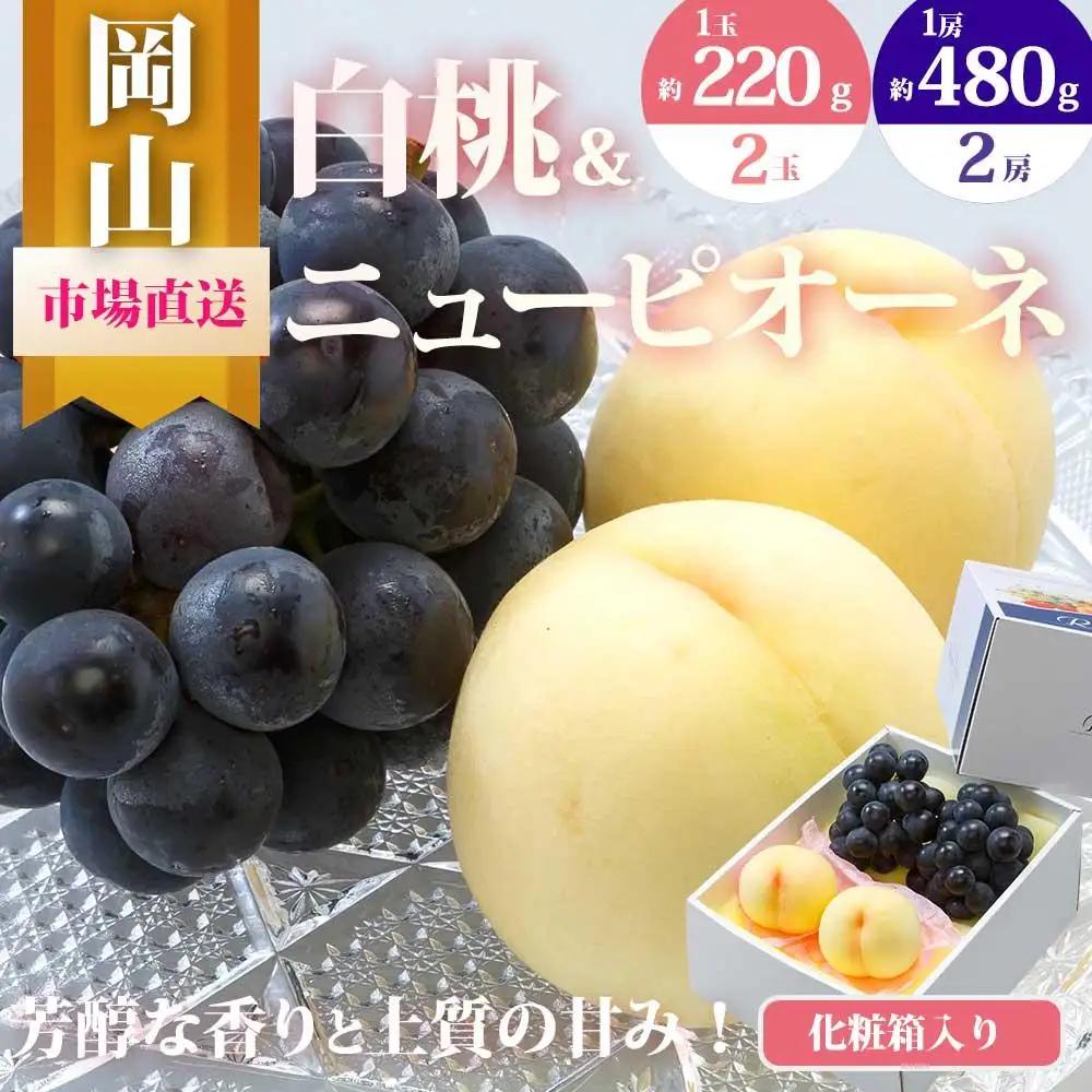2027年 先行予約 果物 詰合せ 白桃 2玉（1玉220g以上）ニューピオーネ 2房（1房480g以上）化粧箱入り もも 葡萄 岡山県産 