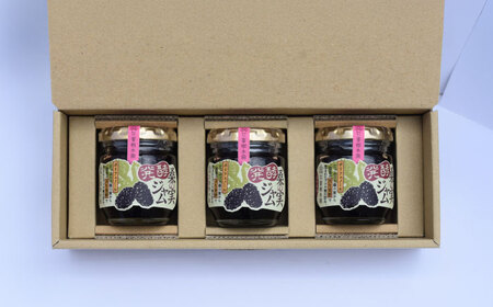 発酵桑の実 ジャム 3個セット（100g×3） 【株式会社 峯樹木園】[AYBM012]