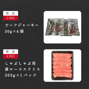 【定期便 全6回】宮崎県西ノ原牧場・なかにし和牛バラエティ定期便（牛肉 黒毛和牛 すき焼き しゃぶしゃぶ 焼肉 赤身 ステーキ 定期便）