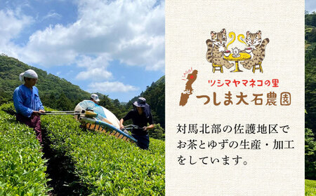 【全6回定期便】【2ヶ月に1回お届け】対馬紅茶リーフ30g×6個長崎 対馬 ティー べにふうき茶葉  [WBE012]