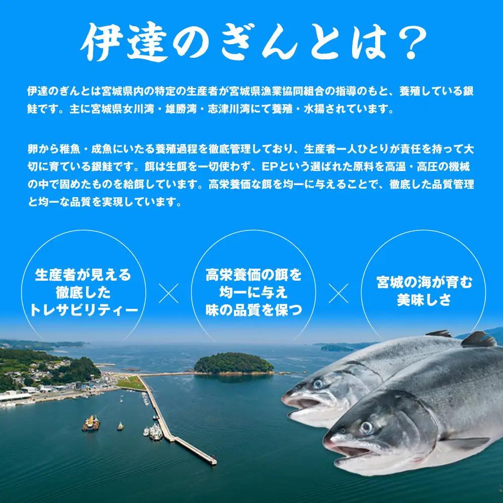 伊達の銀鮭モンゴル岩塩漬け 6切入（2切×3パック） ｜ 銀鮭