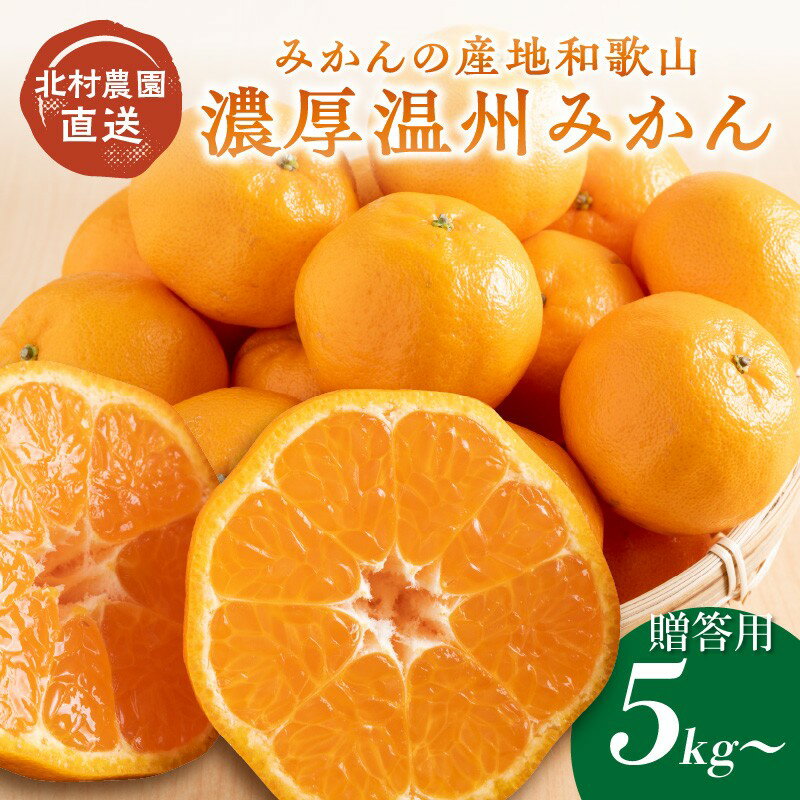 【ふるさと納税】濃厚温州みかん5kg 7.5kg（和歌山天田みかん）みかんの産地和歌山　北村農園直送《先行予約》 ふるさと納税 みかん 5キロ 7.5キロ フルーツ くだもの 果物 数量限定 期間限定 送料無料