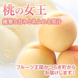 ☆2026年先行予約☆ 和歌山県産 桃の女王『清水白桃』 5～8玉入り 秀品【2026年7月中旬から8月上旬ごろ発送】/ かつらぎ町 和歌山県産 桃 モモ 白桃 フルーツ 果物 くだもの 人気 産地直