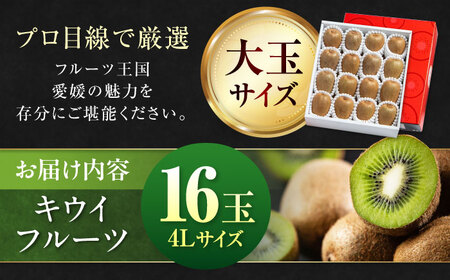 グリーンキウイ （4L、16玉）【2026年2月中旬から順次発送】グリーンキウイ[AGAO002]