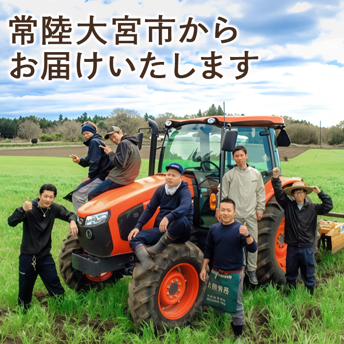 特選ネギ 約4kg 小野瀬農園 【小野瀬農園】【ho1416】