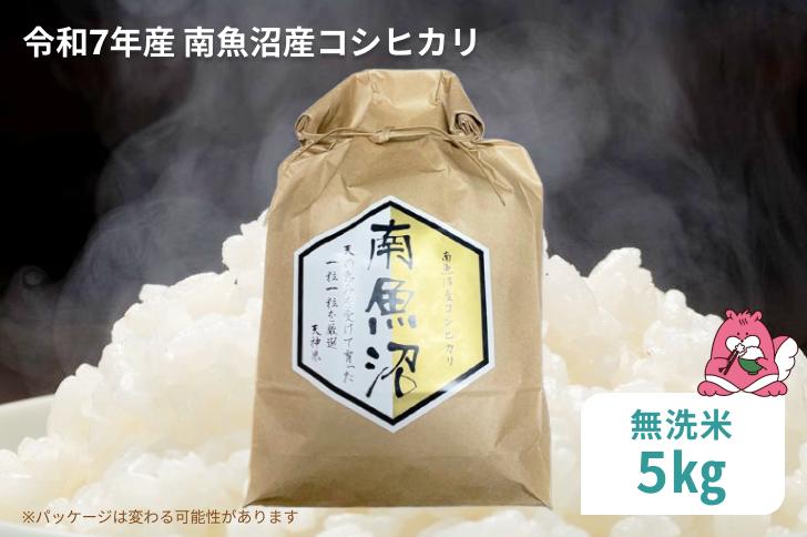 
            令和7年産 5kg〈無洗米〉越後湯沢産 南魚沼産 コシヒカリ 豪雪を源とする水の恵み【湯沢産 コシヒカリ】
          