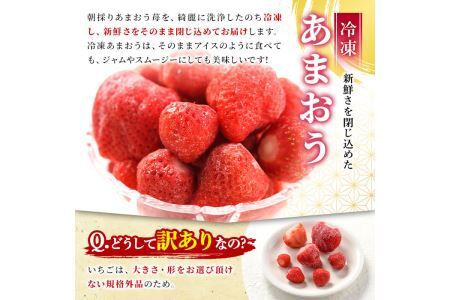 ＜訳あり・規格外＞辛子明太子小切(10P・1kg)と冷凍あまおう(800g)セット めんたいこ 海鮮 苺 切れ子 いちご イチゴ ヨーグルト アイス シャーベット ジャム スムージー ＜離島配送不可＞