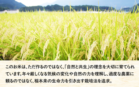 令和7年度産 新米 藤の米(ふじのまい) 10kg(5kg×2袋) ＜フジノ農園＞那珂川市[GCO004]
