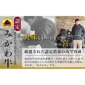 【みかわ和牛】特選和牛シャトーブリアン 130ｇ×4枚