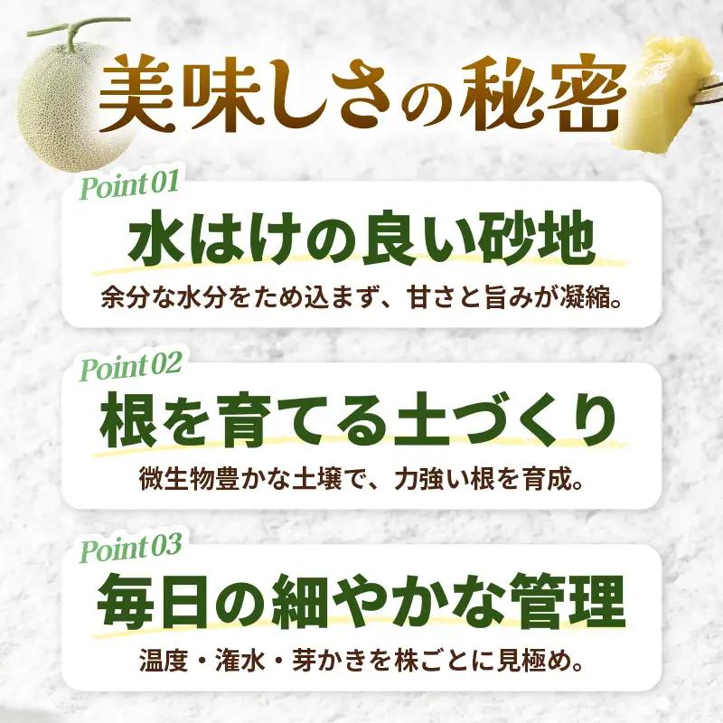 先行予約  アールスメロン (緑肉) 1玉 糖度15度以上 2026年9月上旬以降順次発送予定 [A-22104]