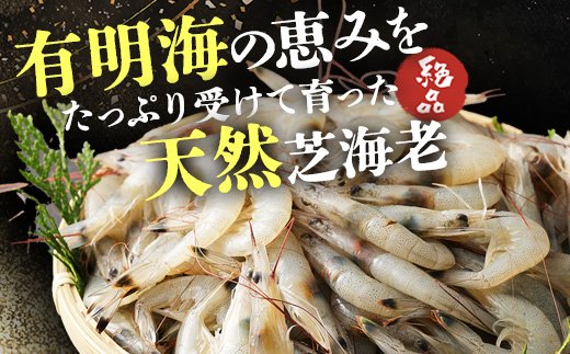 B-421《受付再開》冷凍えびセット(芝えび1kg・むき甘えび20尾×2）