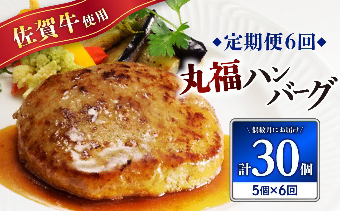 
            丸福・ハンバーグ5個定期便（6回）
          