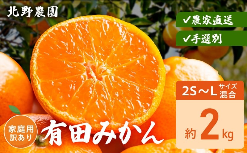 
                  DZ6238_ 【2026年先行予約】有田みかん 家庭用 訳あり サイズ 混合 おまかせ 2S ～ L 約 2kg みかん 柑橘 フルーツ 果物 果実 果汁 デザート 深み 濃厚 国産 北野農園 お取り寄せ 和歌山県 湯浅町 送料無料
                