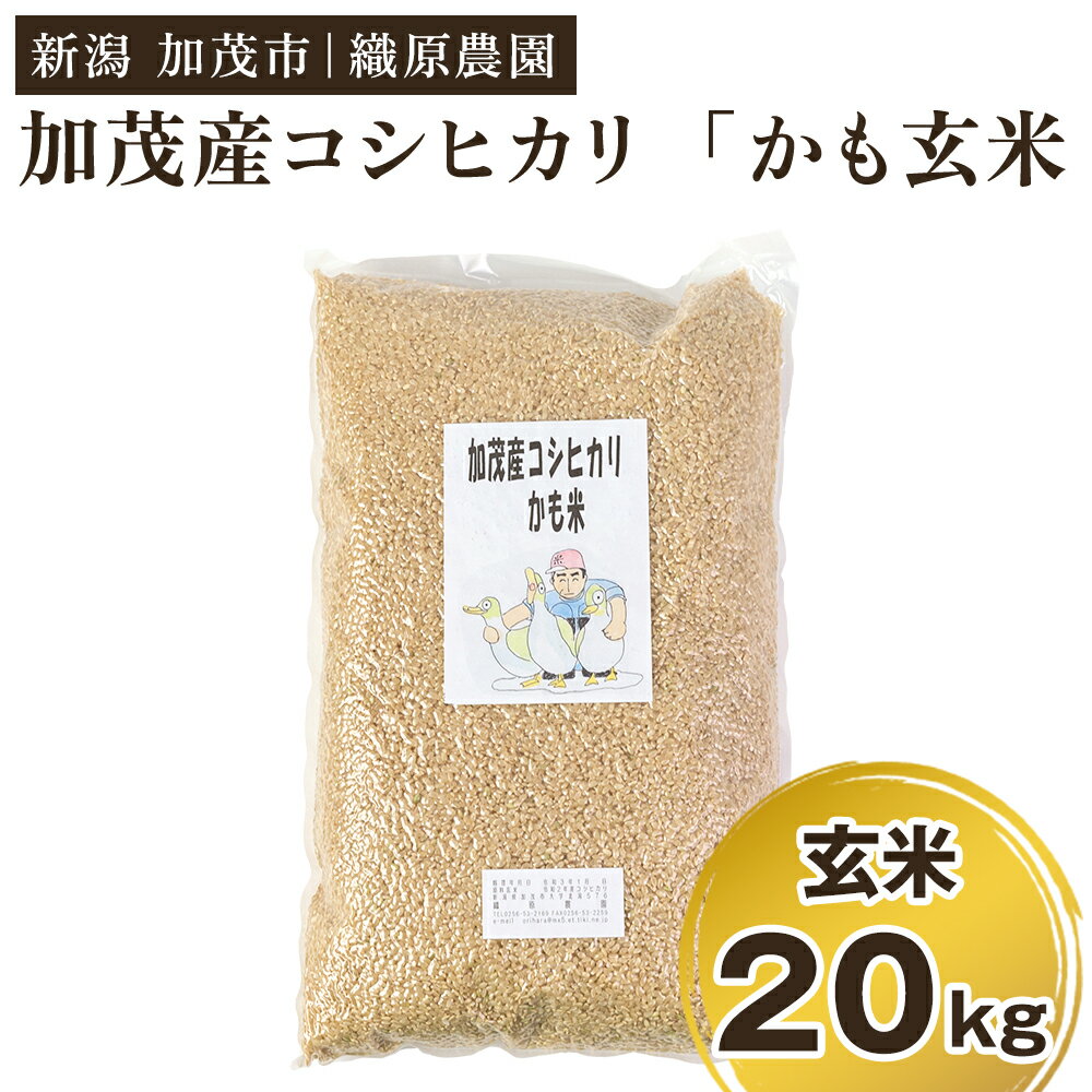 【ふるさと納税】【令和7年産米】【無農薬・無化学肥料】新潟産コシヒカリ「かも米」玄米20kg（5kg×4袋） 真空パック 従来品種コシヒカリ 加茂市 織原農園