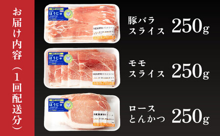 【3回 定期便】やっちゃおいしか芳寿豚バラエティセット 計750g 南島原市 / 芳寿牧場 セット 豚肉 小分け ロース とんかつ もも肉 薄切り 詰め合わせ 定期 肉 [SEI011]