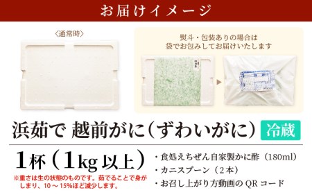 ≪浜茹で≫ 越前がに 特大 × 1杯（生で1kg以上）【2月発送分】越前がに漁師厳選！かに酢 かにスプーン2本 食べ方QRコード付き【雄 ズワイガニ ずわいがに 越前ガニ 姿 ボイル 冷蔵 福井県】希